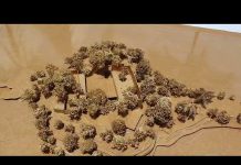 Martinique | Un architecte contemporain japonais construira le nouvel hôtel sur le site de l’ex-Méridien