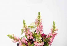 Start-up | Fleurs, restauration, textile… Comment la start-up tricolore Wetradelocal veut devenir l' »Amazon des circuits courts »