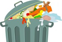 Gestion des déchets : la restauration peut mieux faire