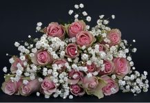 Hommage | Décès d’Elisabeth Scotto, figure des fiches cuisine de ELLE !