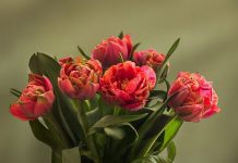 Fête des Mères, Maroc | La vidéo virale du Fairmont Tazi Palace Tanger