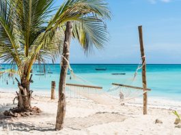palm and hammock on Zanzibar beach with blue sky and ocean on the background @ credit Depositphotos