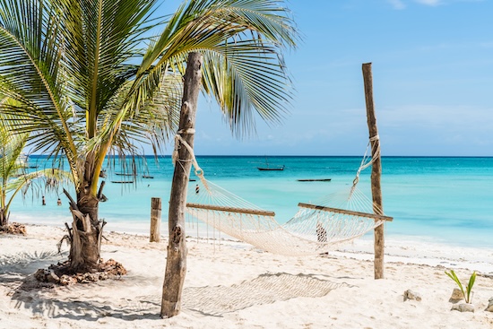 palm and hammock on Zanzibar beach with blue sky and ocean on the background @ credit Depositphotos