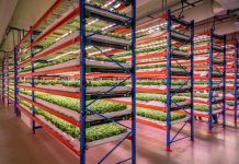 Innovation, Dubaï | Intégration verticale pour Emirates Flight Catering avec Bustanica Bustanica @ credit Emirates Flight Catering