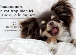 @ credit Ouest Hotel Group / OHG.jpg