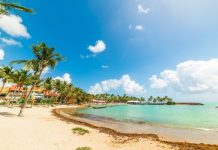 Lu dans la presse | Ruée d’entreprises à l’EHL et à la SHMS, Tourisme caribéen en berne Bas du Fort beach on a sunny day. Guadeloupe, Caribbean sea
