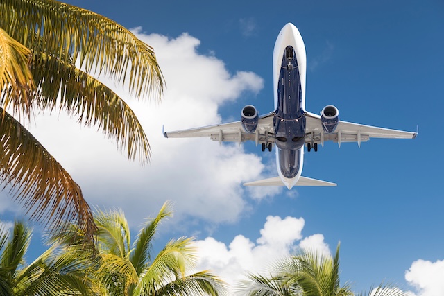 Bottom View of Passenger Airplane Flying Over Tropical Palm Trees.