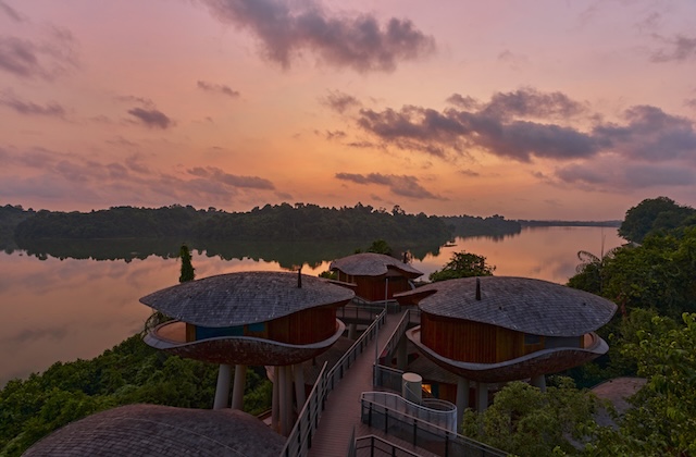 Mandai_Rainforest_Resort_by_Banyan_Tree @ credit Accor