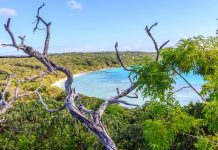 Investisseurs | À Lifou, Nouvelle-Calédonie, l’ambitieux Wadra Bay***** placé en redressement avant son ouverture ! View of Easo beach, Lifou, New Caledonia.
