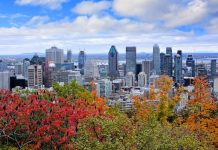 Québec | Plus de 50 hôtels québécois certifié Clé Verte* ! Analyse comparée France/Canada View over the skyline of the city of Montreal with fall colors, Quebec, Canada