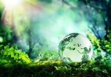 🌱 RSE | Eklo obtient le label RSE Beevent – niveau « Engagé »