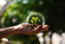 Québec | 62 hôtels québécois certifiés Clé Verte : une hôtellerie durable en pleine accélération Écologie @ credit Depositphotos.comL