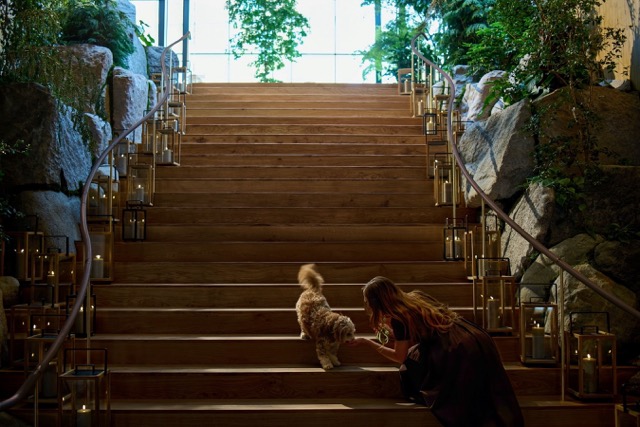 1 Hotel Copenhagen Credit: Mikkel Vang