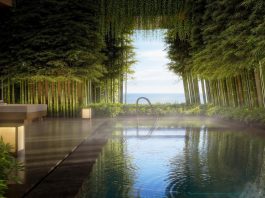 Aman Singapore - Spa House Pool, Render