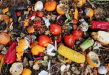 Gaspillage alimentaire | L’AFNOR lance un label national “anti-gaspi” pour les restaurateurs Gaspillage alimentaire @ credit Depositphotos.com