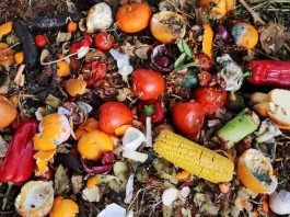 Gaspillage alimentaire | L’AFNOR lance un label national “anti-gaspi” pour les restaurateurs Gaspillage alimentaire @ credit Depositphotos.com