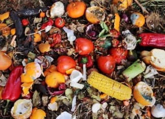 Gaspillage alimentaire @ credit Depositphotos.com