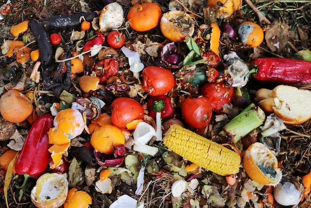 Gaspillage alimentaire @ credit Depositphotos.com Gaspillage alimentaire @ credit Depositphotos.com