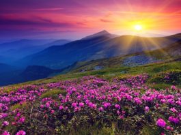 Développement, Monde | Preferred Hotels & Resorts accueille 14 nouveaux établissements dans son portefeuille mondial Depositphotos.com