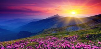 Développement, Monde | Preferred Hotels & Resorts accueille 14 nouveaux établissements à son portefeuille mondial Depositphotos.com