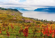 Été 2026 🇨🇭 | Avec un premier hôtel prévu à l’automne 2026, Seiler Constantin, nouvelle collection hôtelière suisse Lavaux @ credit Depositphotos.com