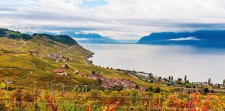 Été 2026 🇨🇭 | Avec un premier hôtel prévu à l’automne 2026, Seiler Constantin, nouvelle collection hôtelière suisse Lavaux @ credit Depositphotos.com