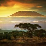 Paysage kenyan avec en toile de fond le Kilimandjaro @ credit Depositphotos.com