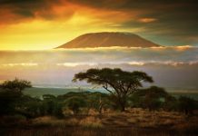 Afrique | Choice Hotels International annonce son entrée sur le marché africain avec trois hôtels au Kenya Paysage kenyan avec en toile de fond le Kilimandjaro @ credit Depositphotos.com