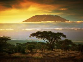 Afrique | Choice Hotels International annonce son entrée sur le marché africain avec trois hôtels au Kenya Paysage kenyan avec en toile de fond le Kilimandjaro @ credit Depositphotos.com