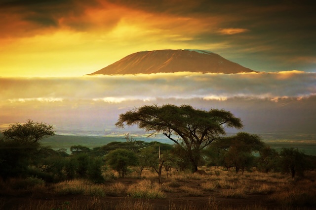 Paysage kenyan avec en toile de fond le Kilimandjaro @ credit Depositphotos.com