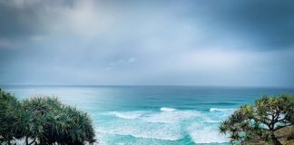 Ouverture 2026, Australie | La Vie Hotels & Resorts remporte le contrat de gestion du futur resort de luxe de Lindeman Island (ex-Club Med) Illustration Magnifique paysage marin avec palmiers et pandanus, île de North Stradbroke, Queensland, Australie