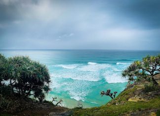 Ouverture 2026, Australie | La Vie Hotels & Resorts remporte le contrat de gestion du futur resort de luxe de Lindeman Island (ex-Club Med) Illustration Magnifique paysage marin avec palmiers et pandanus, île de North Stradbroke, Queensland, Australie