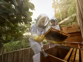 Ouverture, EAU | À Dubaï, Jumeirah inaugure l’Eco Village, une destination immersive dédiée à la durabilité jumeirahecovillage_beehive_beeobservation-jpg