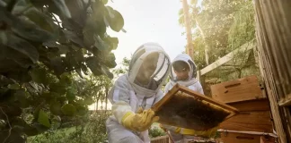 Ouverture, EAU | À Dubaï, Jumeirah inaugure l’Eco Village, une destination immersive dédiée à la durabilité jumeirahecovillage_beehive_beeobservation-jpg